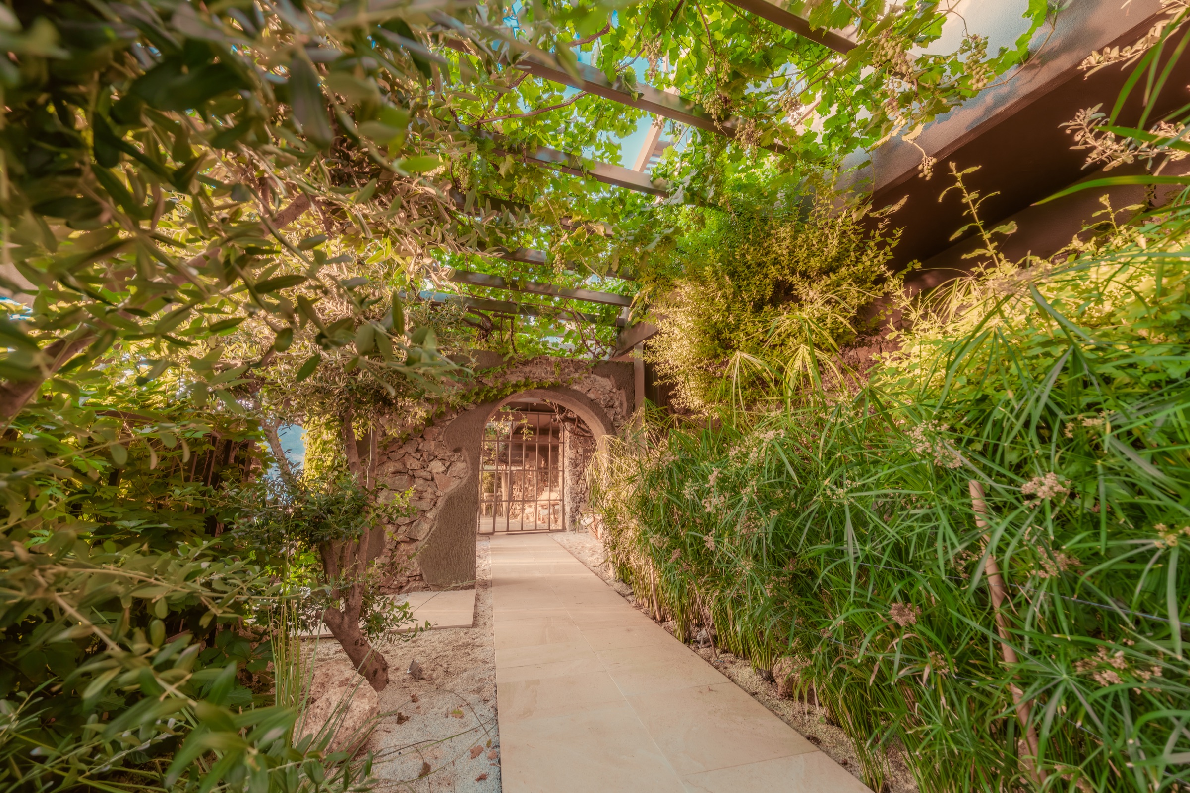 A garden morning